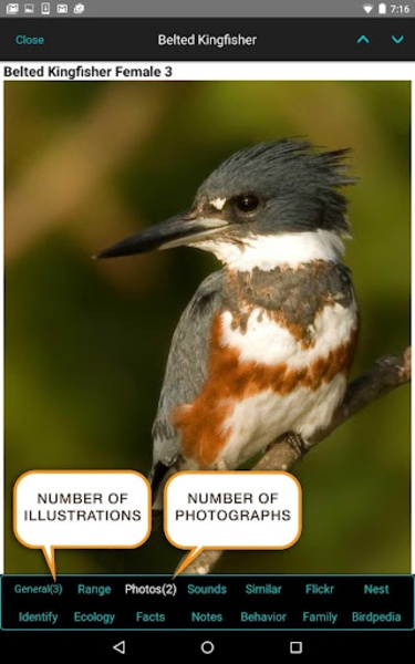 iBird Lite - Preview 14