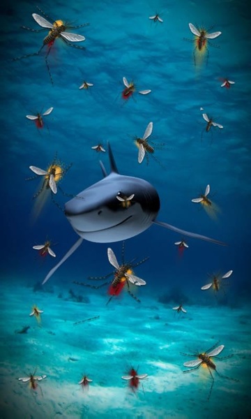 Killer shark live wallpaper - Preview 4