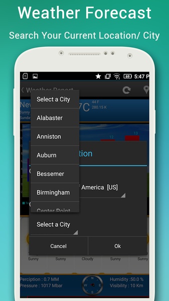 Weather Forcast - Preview 11