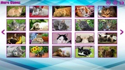 Big puzzles with cats screenshot 7