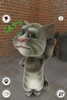 Talking Tom Cat screenshot 1