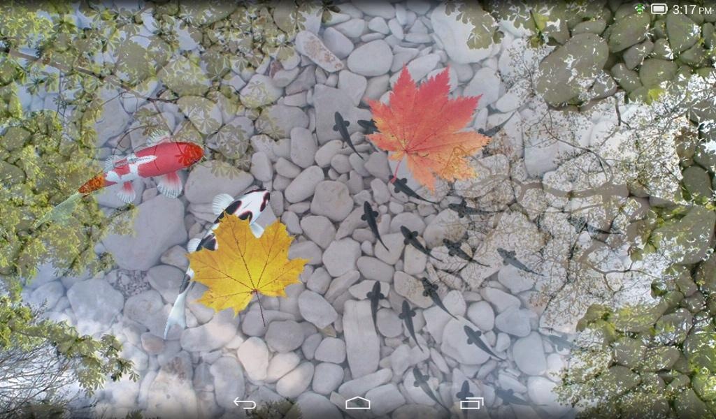 Water Garden - Preview 1