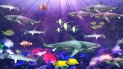 Shark aquarium screenshot 7