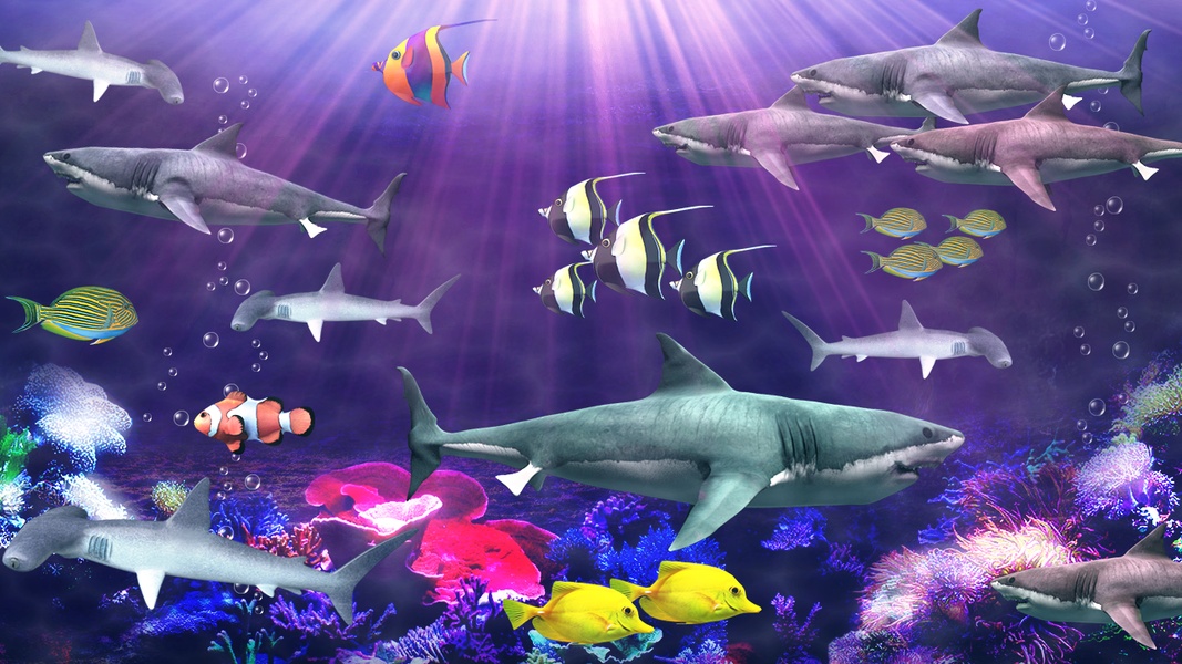 Shark aquarium - Preview 7