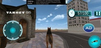 Us Army Spy Dog Training screenshot 5