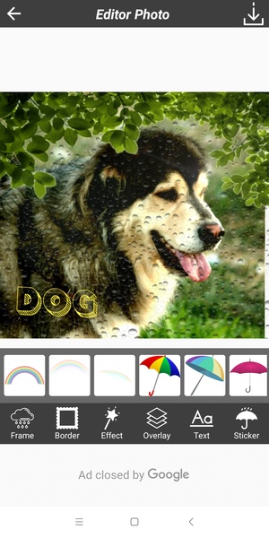 Rain Photography - Preview 1