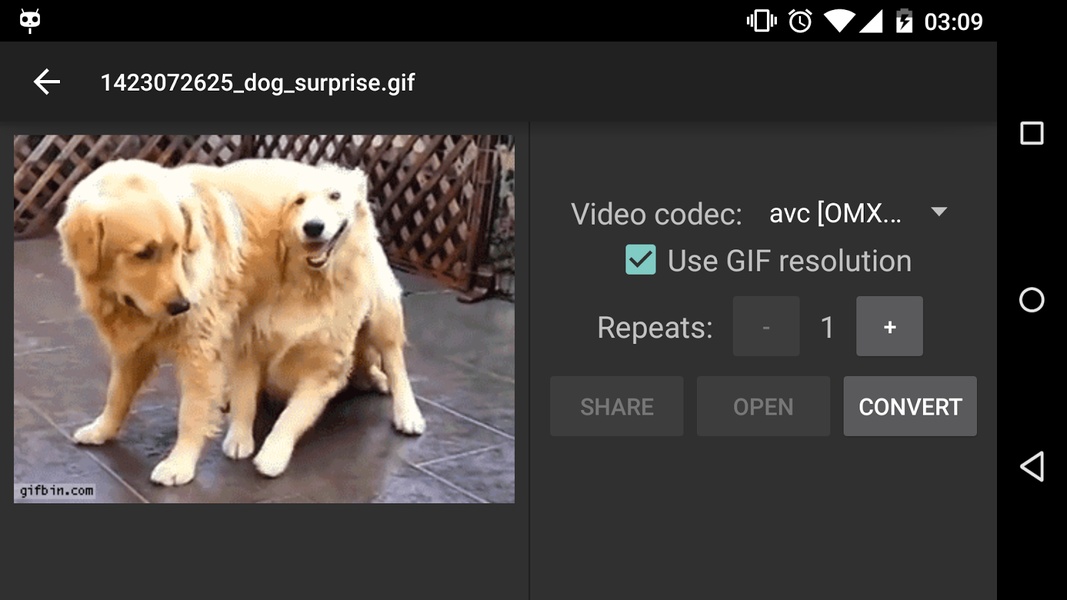 Gif2Video - Preview 3