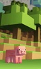 Minecraft Skins Wallpapers screenshot 3