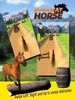 runaway horse screenshot 7