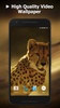 Cheetah Video Live Wallpaper screenshot 5