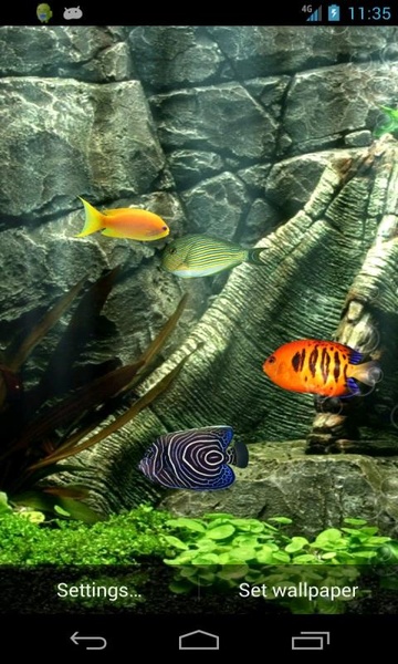 Fish Aquarium - Preview 3