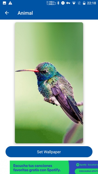GIF For WhatsApp - Preview 4