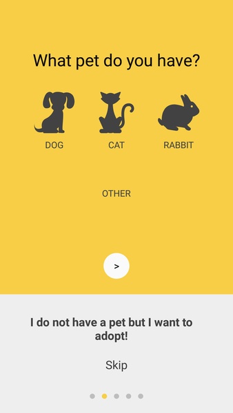 11Pets - Preview 10
