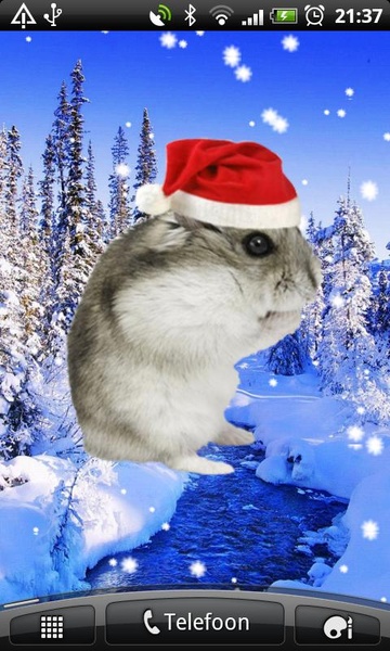 ChristmasHamsterSticker - Preview 1