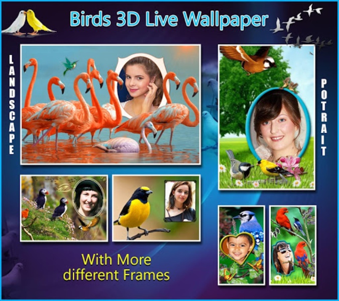 Bird 3D Live Wallpaper - Preview 4