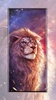 lion wallpaper screenshot 10