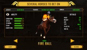 Virtual Horse Racing Champion screenshot 3