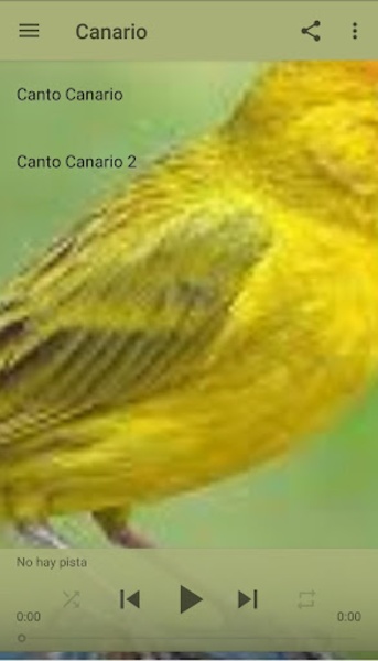 Canto Canario - Preview 3