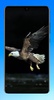 Eagle Wallpaper HD screenshot 11