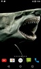 Shark 4K Video Live Wallpaper screenshot 2