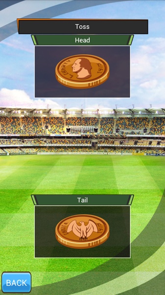 T20 WORLD CRICKET CHAMPIONS - Preview 4