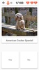 Dog Breeds - Quiz about all dogs of the world! screenshot 2