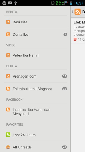 Panduan Ibu Hamil - Preview 3