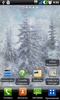 Frozen Window Wallpapers screenshot 5