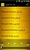 Saad al Ghamidi Quran MP3 screenshot 2