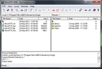 MicroFTP 2000 screenshot 1