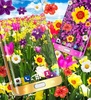 Flowers live wallpaper screenshot 4