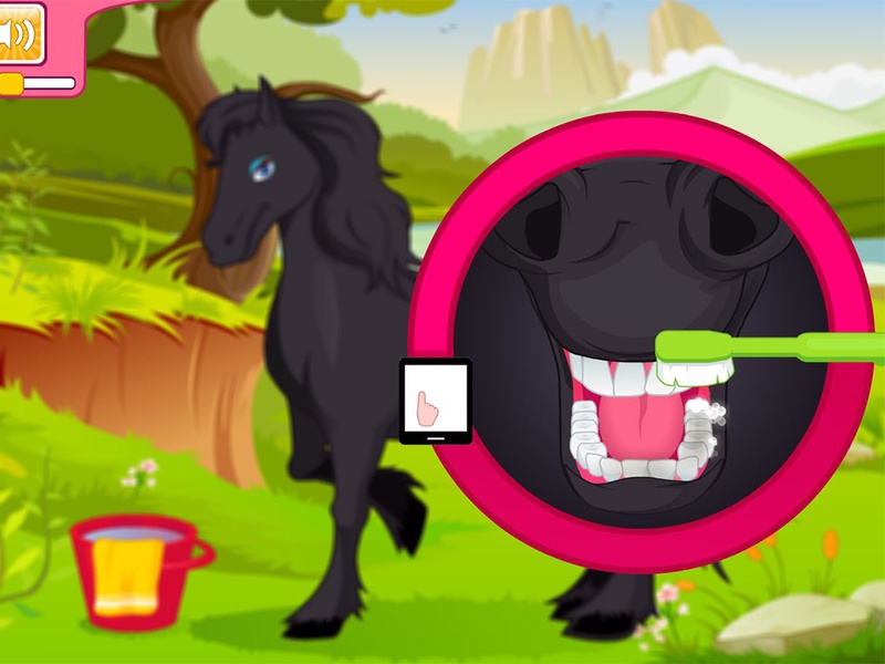 Horse Grooming Salon - Preview 3