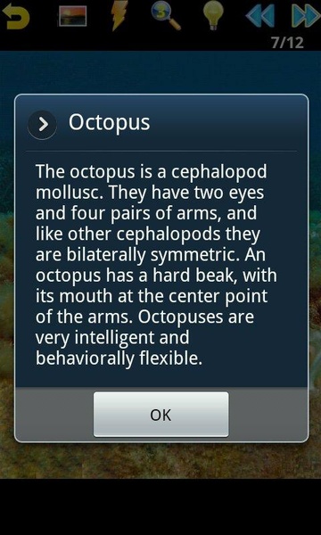 Ocean Puzzle - Preview 4