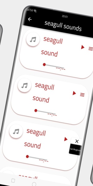 seagull sounds - Preview 3