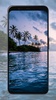 Palm Tree Wallpapers screenshot 2