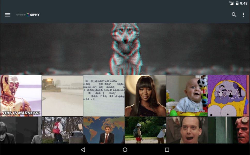 GIF To Video - Preview 4
