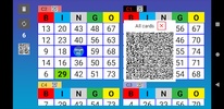 Bingo RS Cards screenshot 22