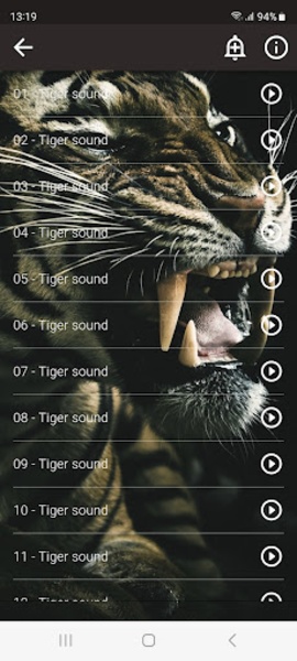 Cats sounds - Preview 1