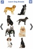 Dog Breeds 🐶 Golden Retriever | Rottweiler screenshot 21