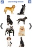 Dog Breeds 🐶 Golden Retriever | Rottweiler screenshot 21