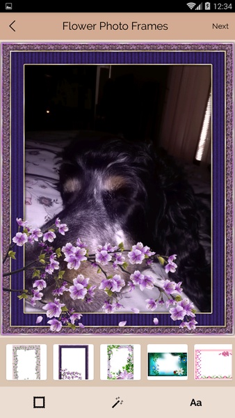 Flower Photo Frames - Preview 3