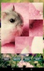 Hamster Puzzles screenshot 5