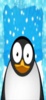 pinguin screenshot 1