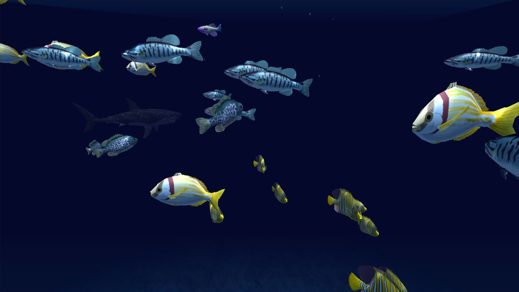 Fish Schooling - Preview 3