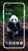 Cute Panda HD Wallpaper screenshot 2
