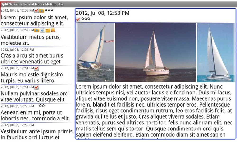Diary Notes Multimedia - Preview 2