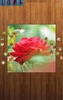 Flower Jigsaw Puzzles screenshot 5