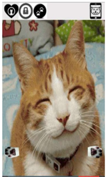 cute funny cat - Preview 7