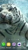Tiger Video Live Wallpaper screenshot 9