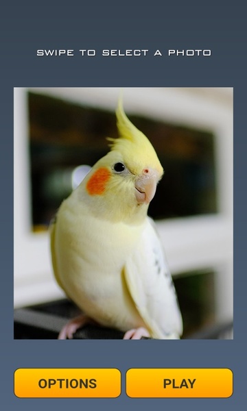 Cute Birds Puzzle - Preview 1